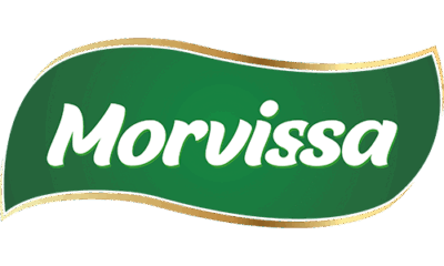 Morvissa